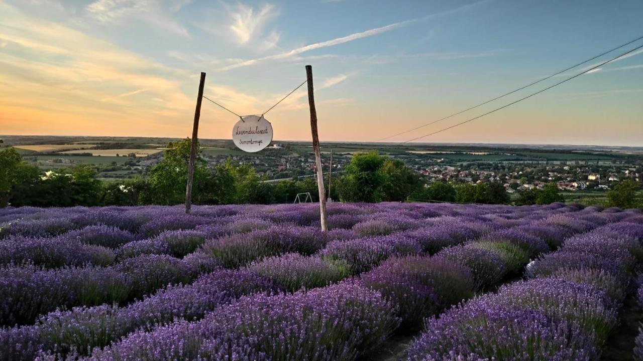 Levendulaszat Simontornya Buitenkant foto